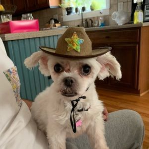 Meet your Posher, Morgan